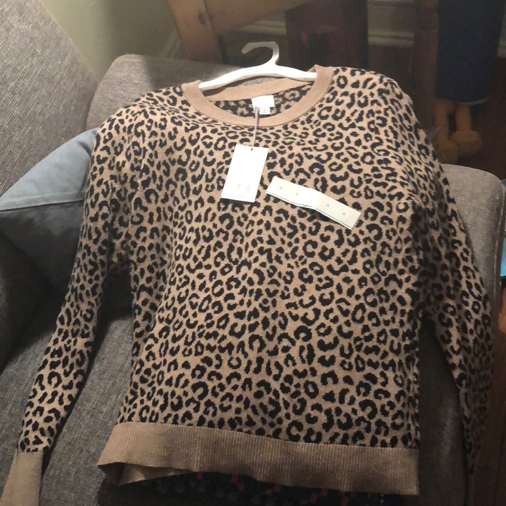 Cheetah sweater